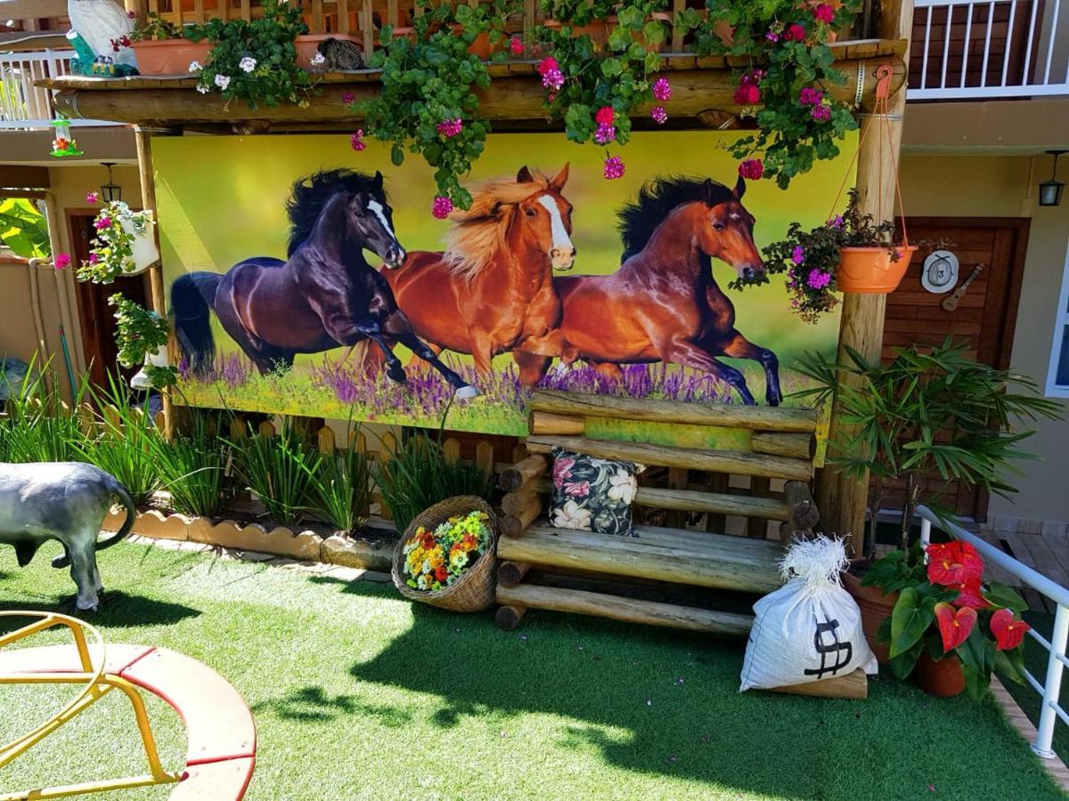 Pousada Alegria Do Cowboy Penha  Exterior photo